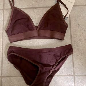 Icebreaker siren merino bra and panties set NWT XS